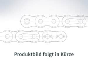 Connecting link 16B-1 Type B MEGAlife, maintenance-free - JWIS IWIS IWIS