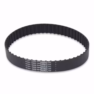 202 XL 031 Continental Endless timing belts