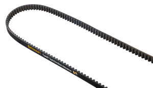 HTD   5M   10   CXP  Roll   95m Continental CONTI® SYNCHROLINE ADVANCE Open end timing belts Continental