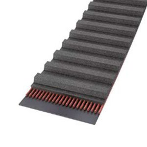 STD   1552   S8M   CXP - 36 PK Continental CONTI® SYNCHRORIB ADVANCE Endless timing belts Continental