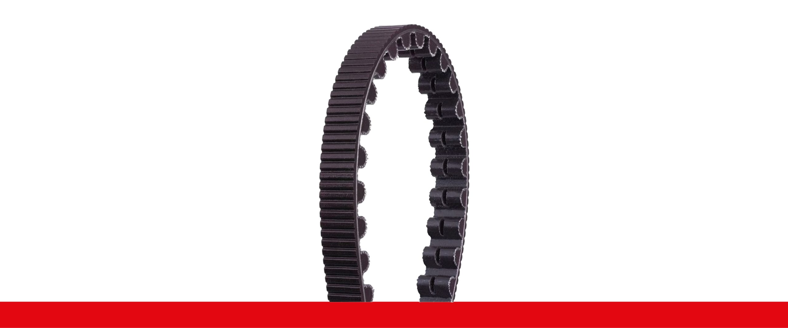 Timing belts Carbon