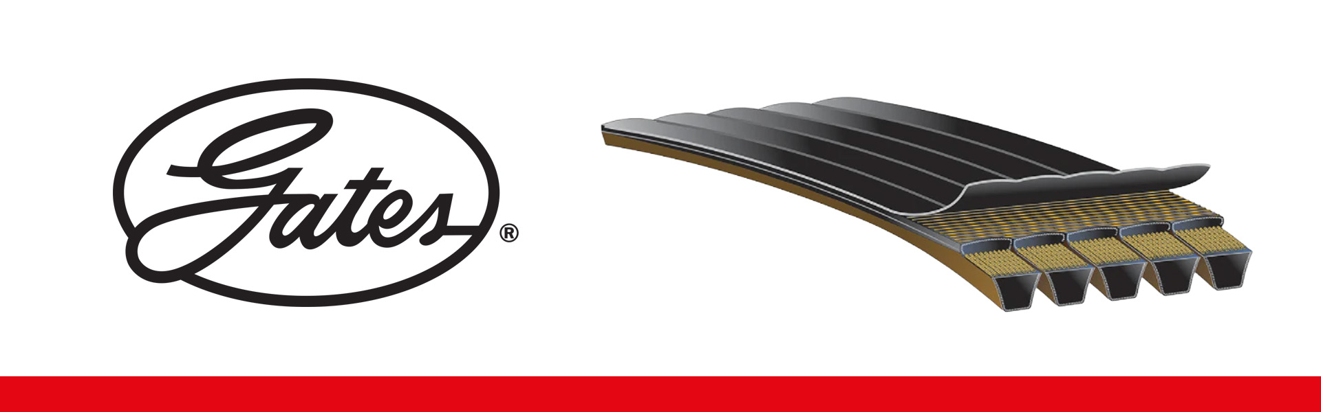 Gates Predator Powerband®