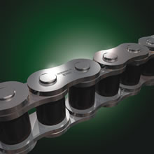 16B1SNX10FT RENOLD